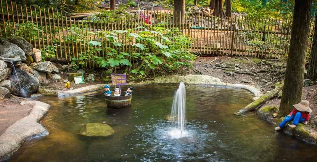 加拿大童话梦想！隐藏八百年前森林中，百万游客，老板：我不玩了