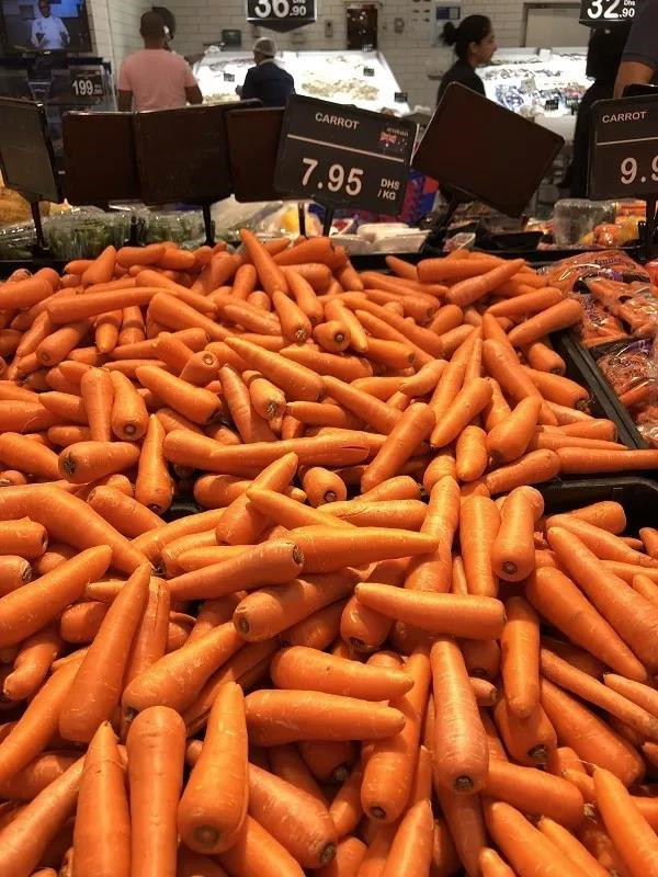 在迪拜生活到底贵不贵,迪拜打车贵不贵