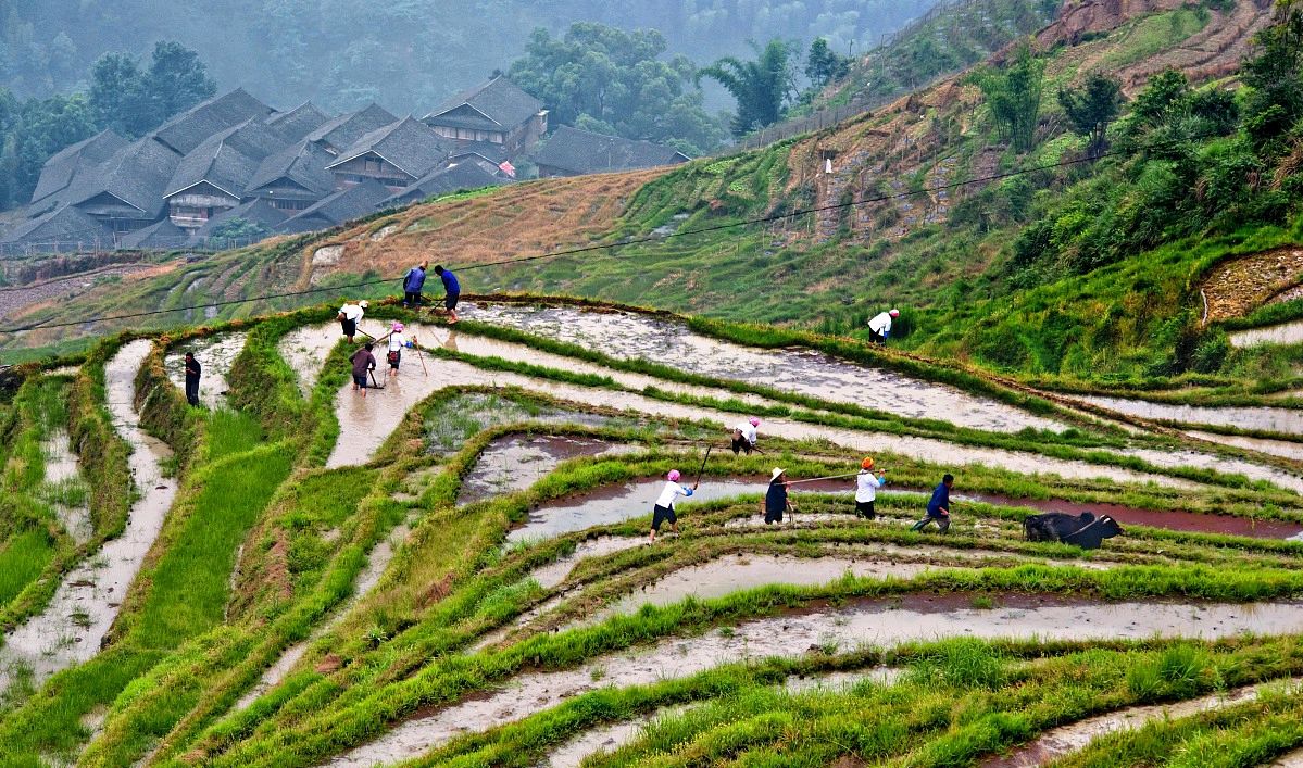春耕进行时到处是一片繁忙的景象,春耕一般在什么时候