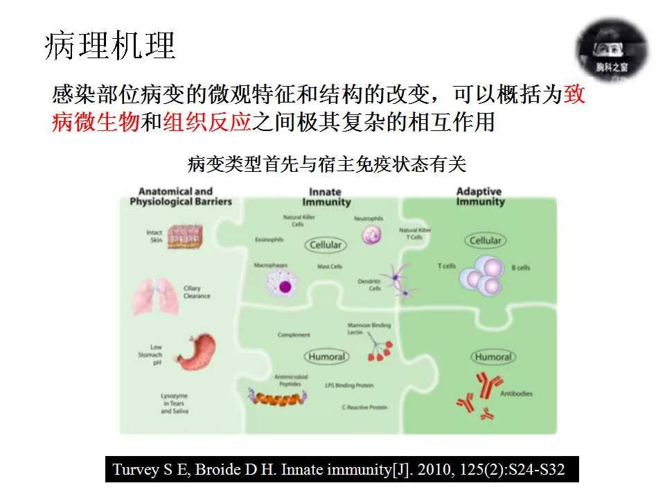 双肺多发结节是肺癌的征兆吗,双肺多发结节灶