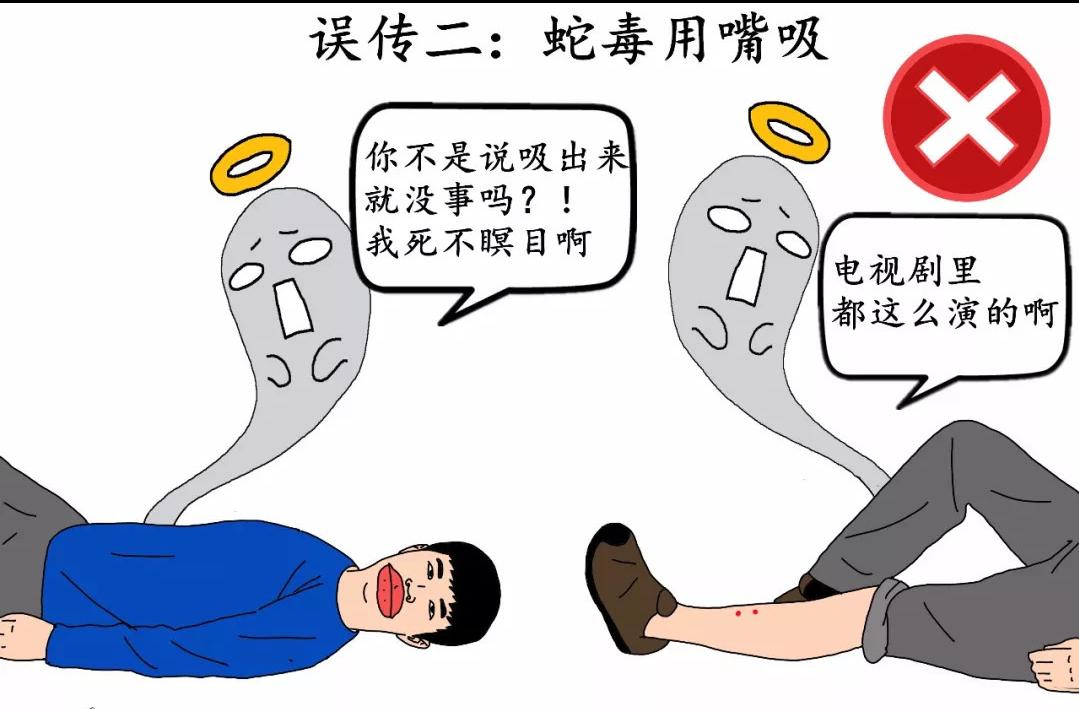 被竹叶青毒蛇咬了严重吗,小孩被竹叶青蛇咬伤