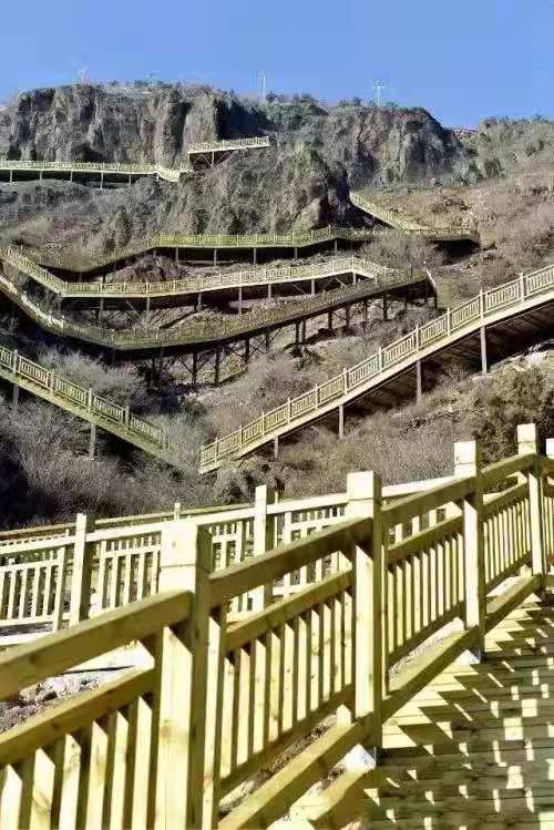 杨景瑞作品,杨景瑞视频