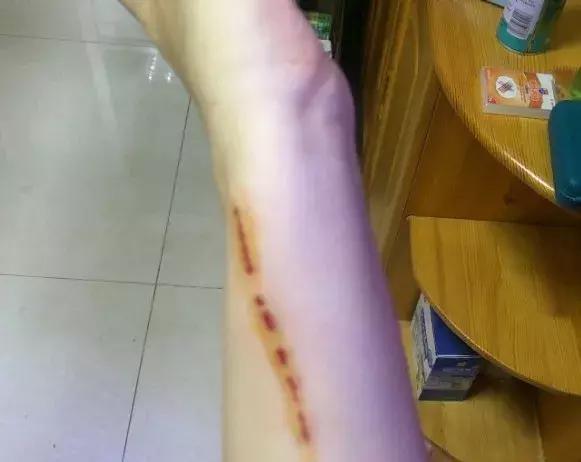 怎么惹猫生气很愤怒,惹猫生气的方法