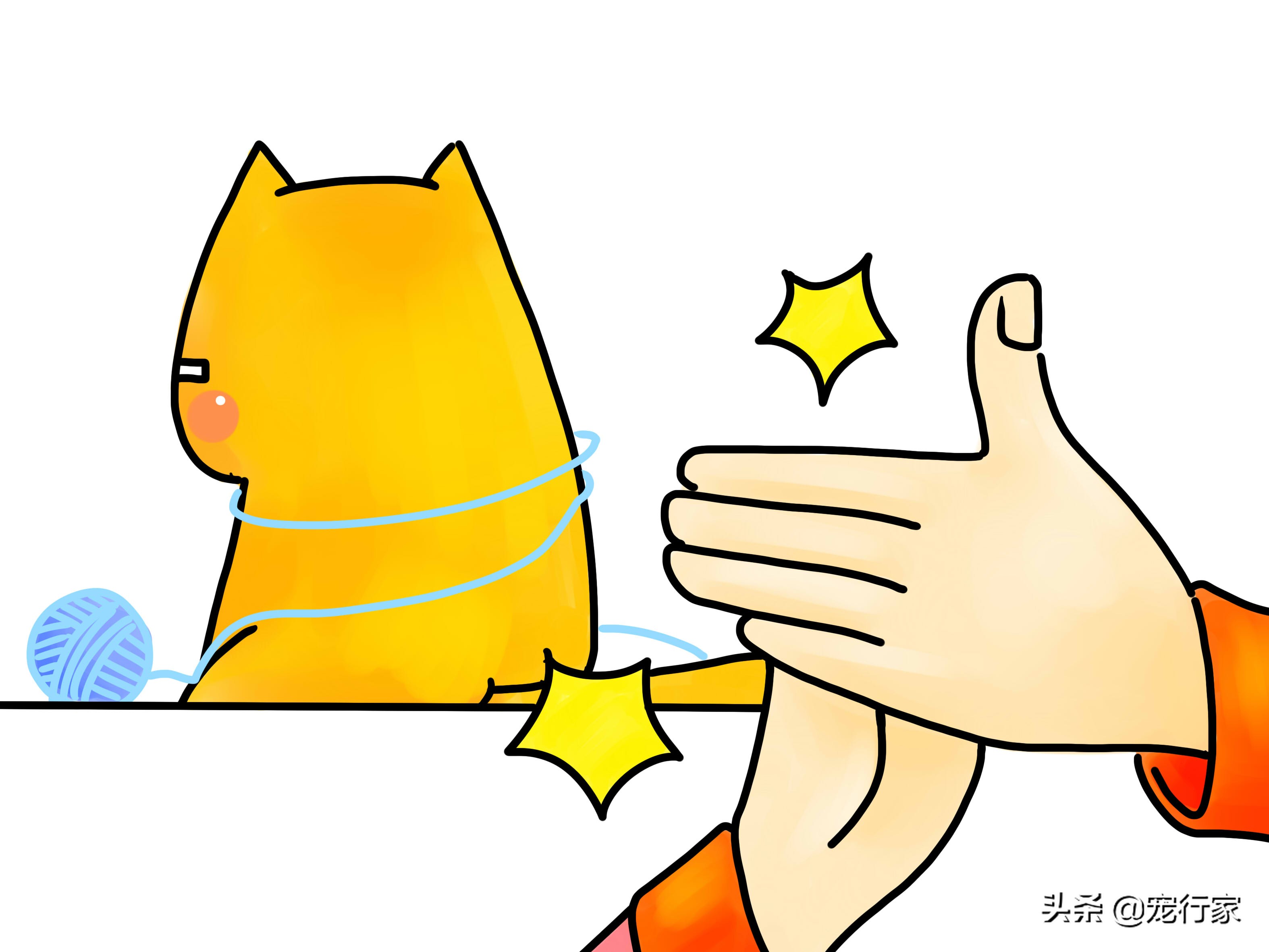 先天性失聪的猫咪能和猫咪交流吗,如何养一只耳聋的猫