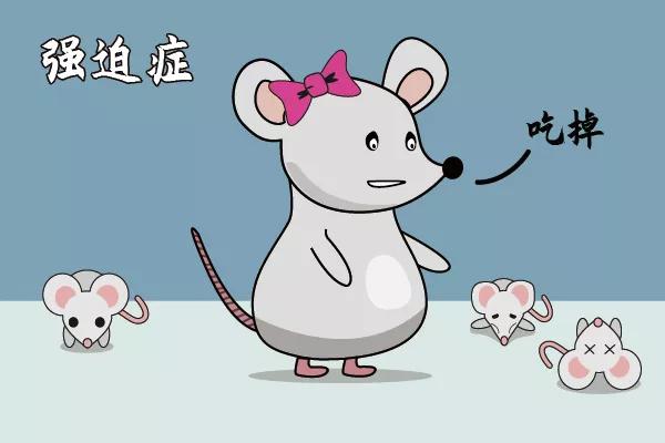 走近科学鼠王,走近科学之消失的巴士