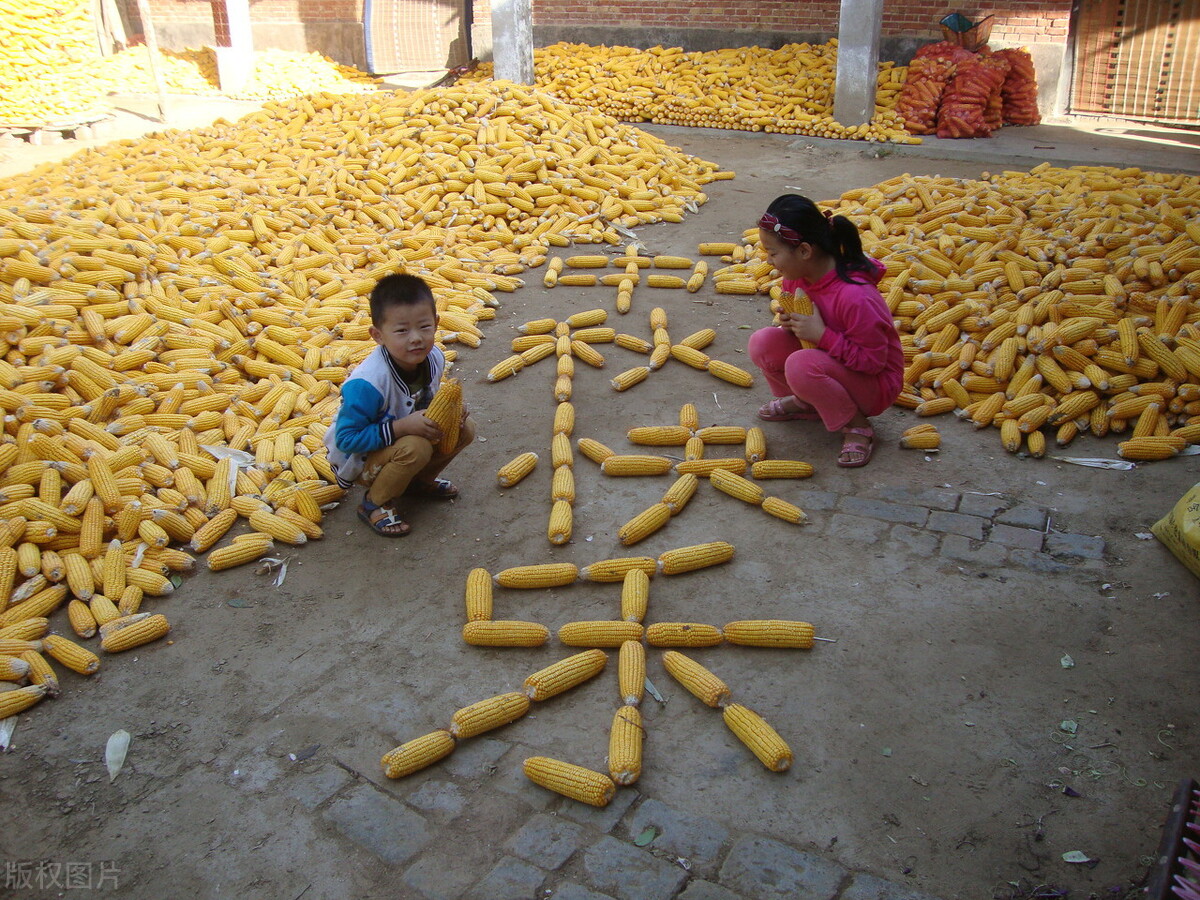 年怕中秋月怕半下联是什么,年怕中秋月怕半的意思是什么