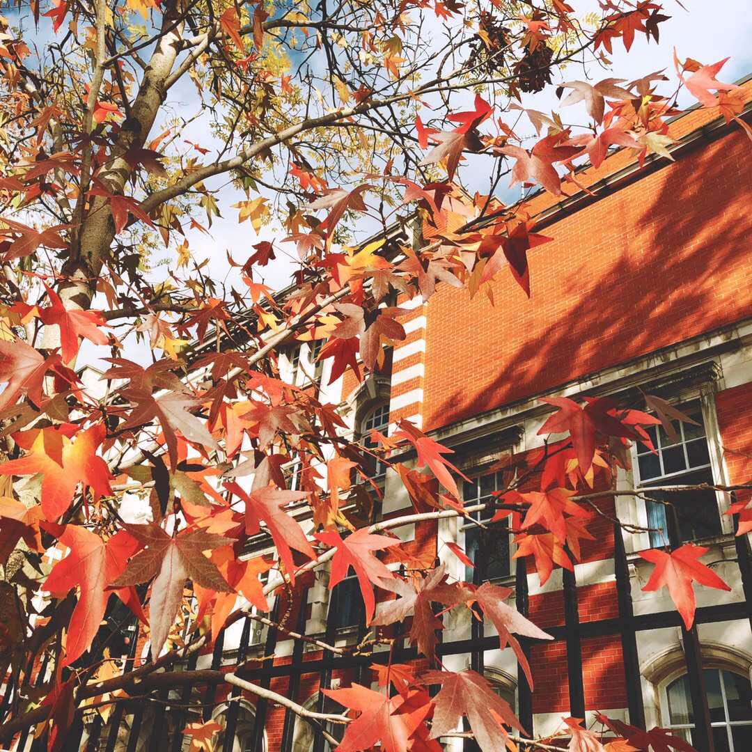 聊一聊大学里的秘密,曼彻斯特大学的真实情况