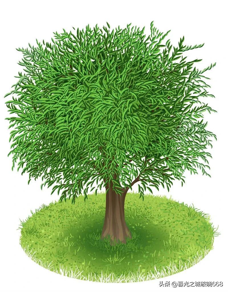 满腹经纶饱读诗书,满腹经纶才高八斗