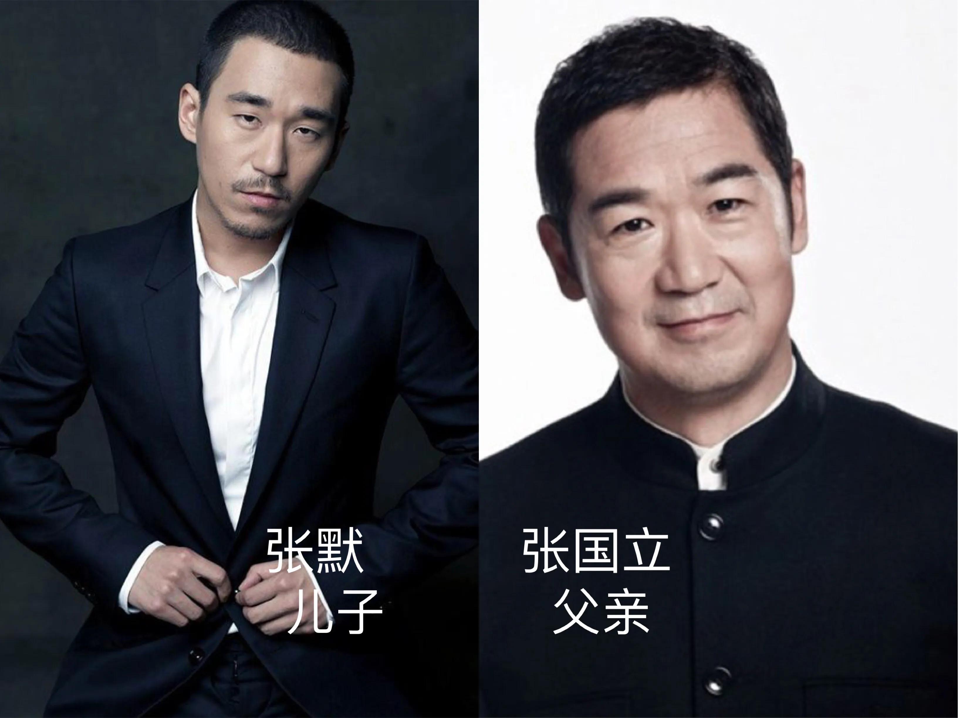 娱乐圈中的哪些明星都是父子关系,娱乐圈的明星父子们