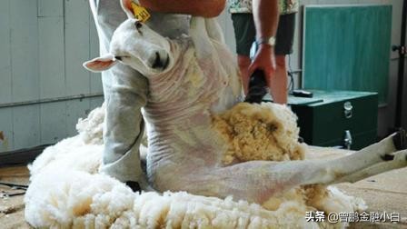 为什么有些有钱人喜欢用信用卡,为什么有人喜欢用信用卡消费