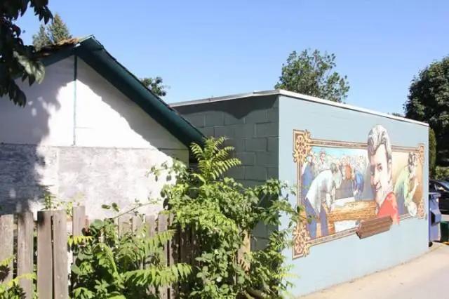 没有产业的城市,没有商业化的小镇