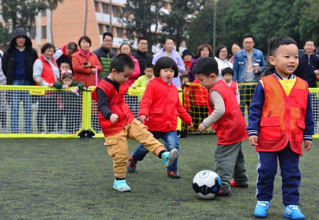 派迪茵体育,派迪茵体育教练团队