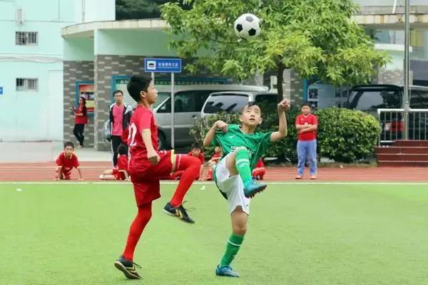 段刘愚深圳哪里人,学霸段刘愚哪所学校