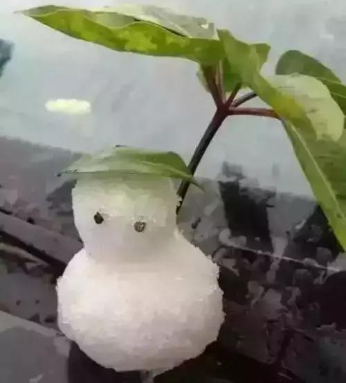 秦汉古道广东,粤北秦汉古道