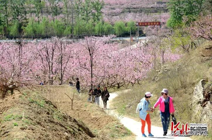 邯郸自驾游看花十大排行榜,石家庄48条春观花旅游线路