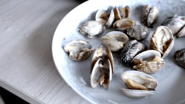 花蛤和蛤蜊的区别图解,花蛤和蛤蜊有区别吗