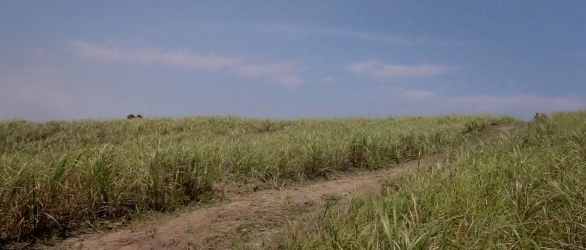 苦难的台湾历史剧本,台湾催人泪下的纪录片