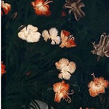 有没有喜欢古钱币的,很喜欢的纪念币