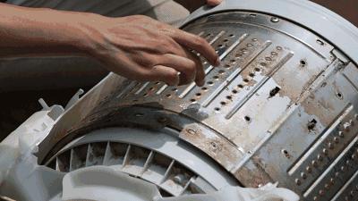 长时间不清洗的洗衣机有什么细菌,为什么放进洗衣机的衣服有霉菌