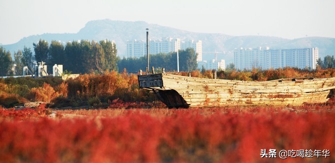 营口团山海洋公园是北海公园吗,营口团山海洋公园和金帛滩哪个好