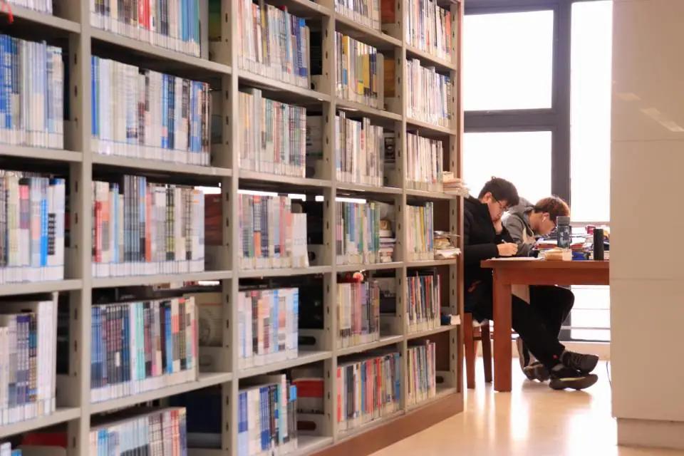 校园春季约拍,校园浪漫约会计划