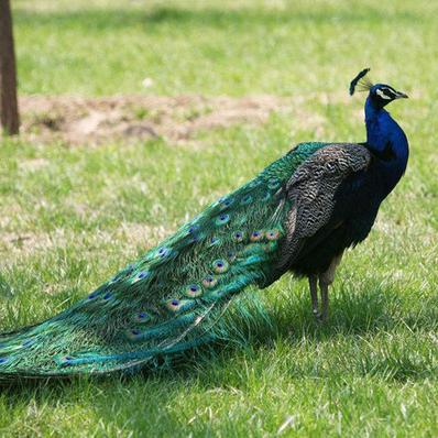 养殖户赚钱吗,养殖户一年能赚多少钱啊