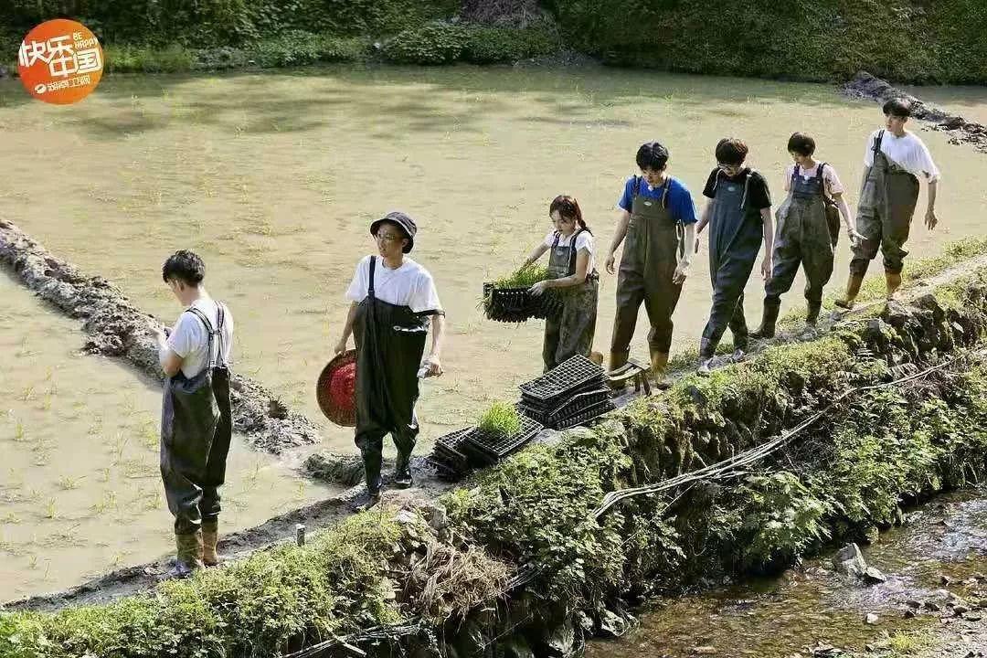 她凭“中华之美”圈粉海外，却被国内网民骂成筛子