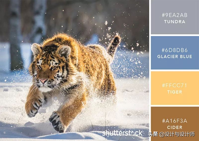 设计色彩总结200字左右,设计配色6种颜色