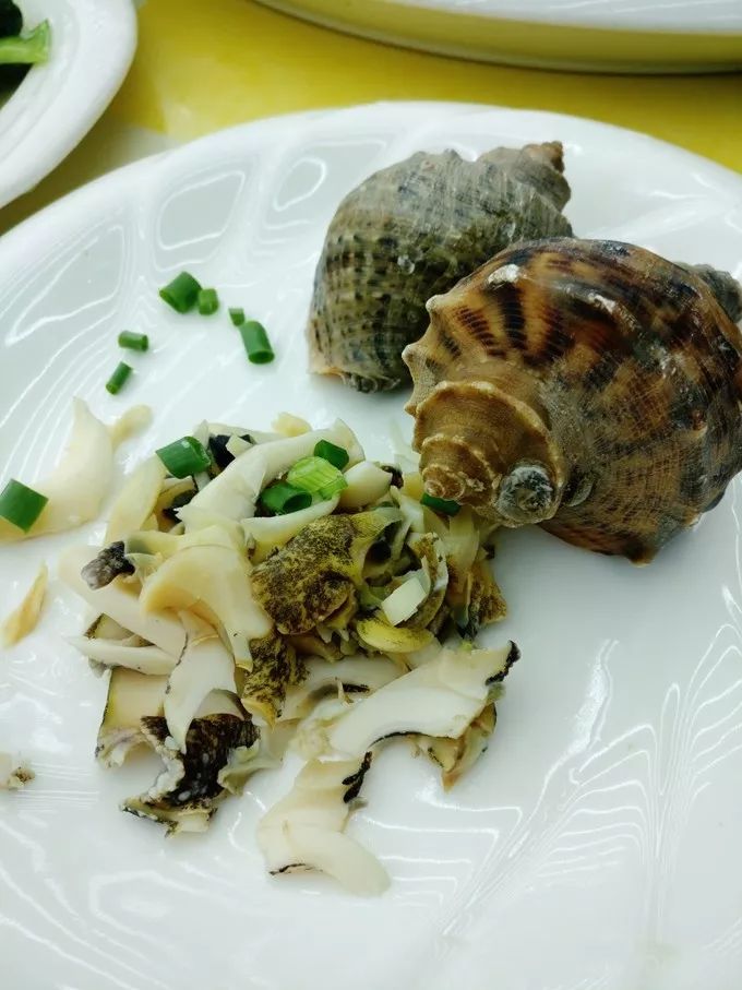 上海自驾舟山桃花岛游路线推荐,从上海去桃花岛如何安排行程