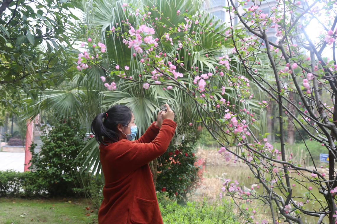 南昌华南城开工了吗,南昌复工复产最新通告