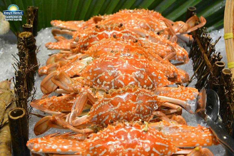 大亚湾龙光城戴斯酒店优惠团购,大亚湾龙光城戴斯酒店和公寓位置