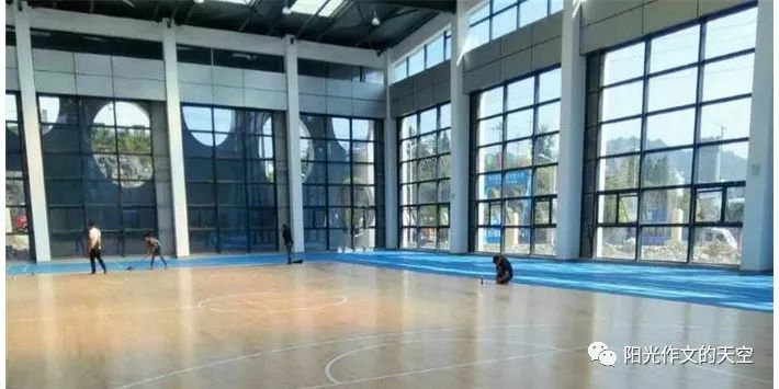 作文六年级校园,六年级作文不一样的校园