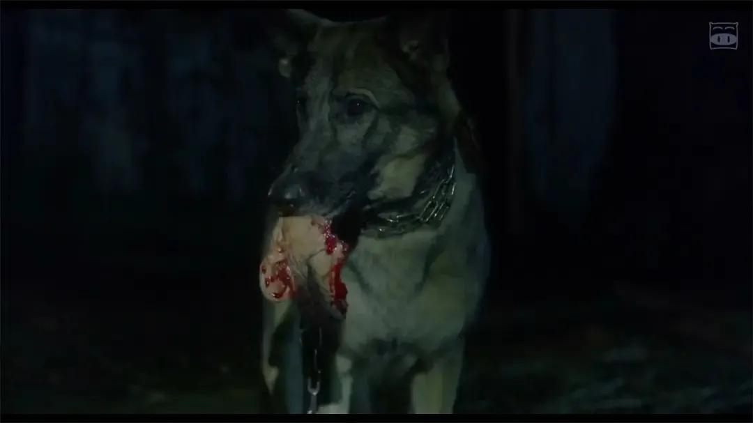 贞子大战伽椰子爬楼梯片段,贞子大战伽椰子的拍摄现场