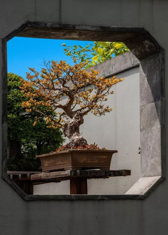 被严重低估的江苏成绩,扬州被严重低估的城市