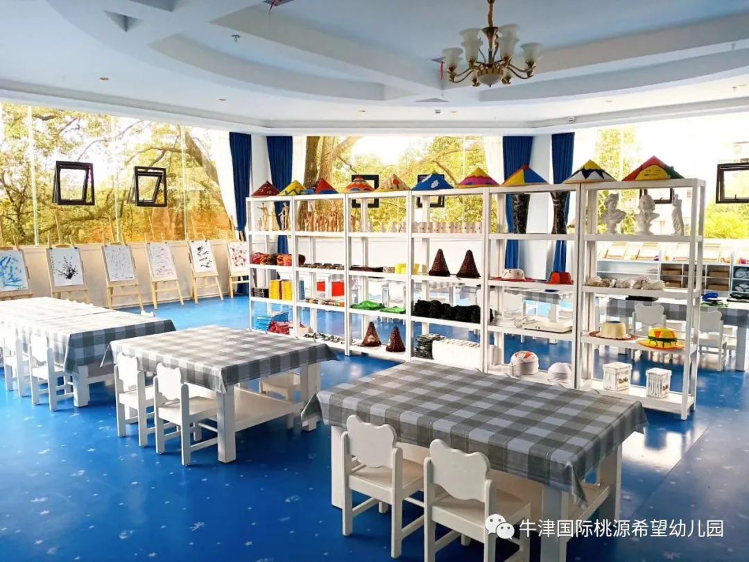 常德桃源红岩小学一年级招生条件,常德桃源文星小学招生条件