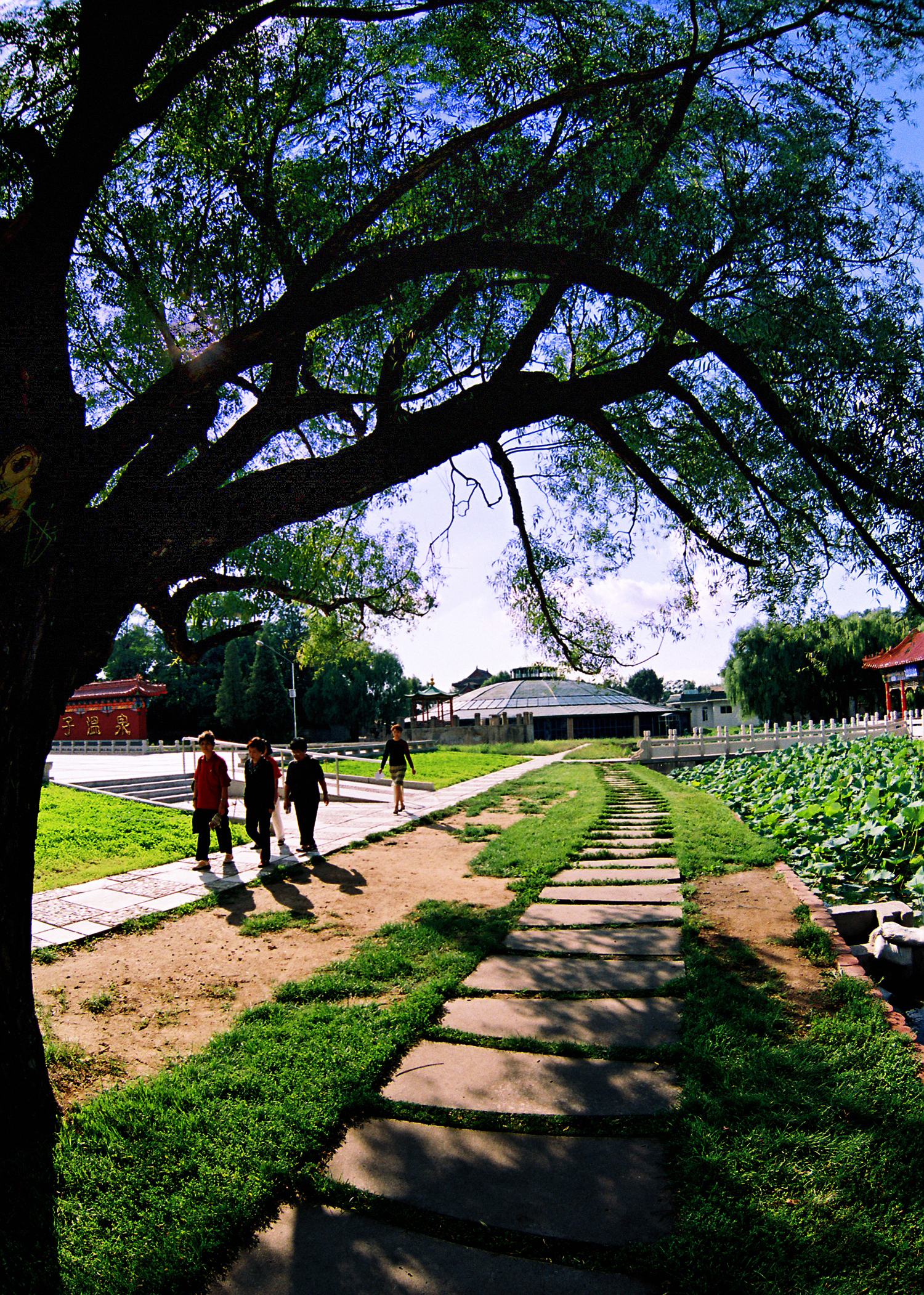 沈阳春暖花开,春暖花开沈阳自由行攻略