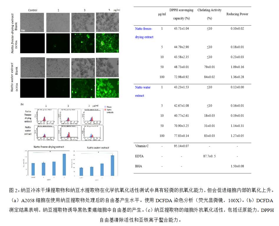 枯草纳豆芽孢杆菌功效与作用,纳豆枯草芽孢杆菌分泌的酶