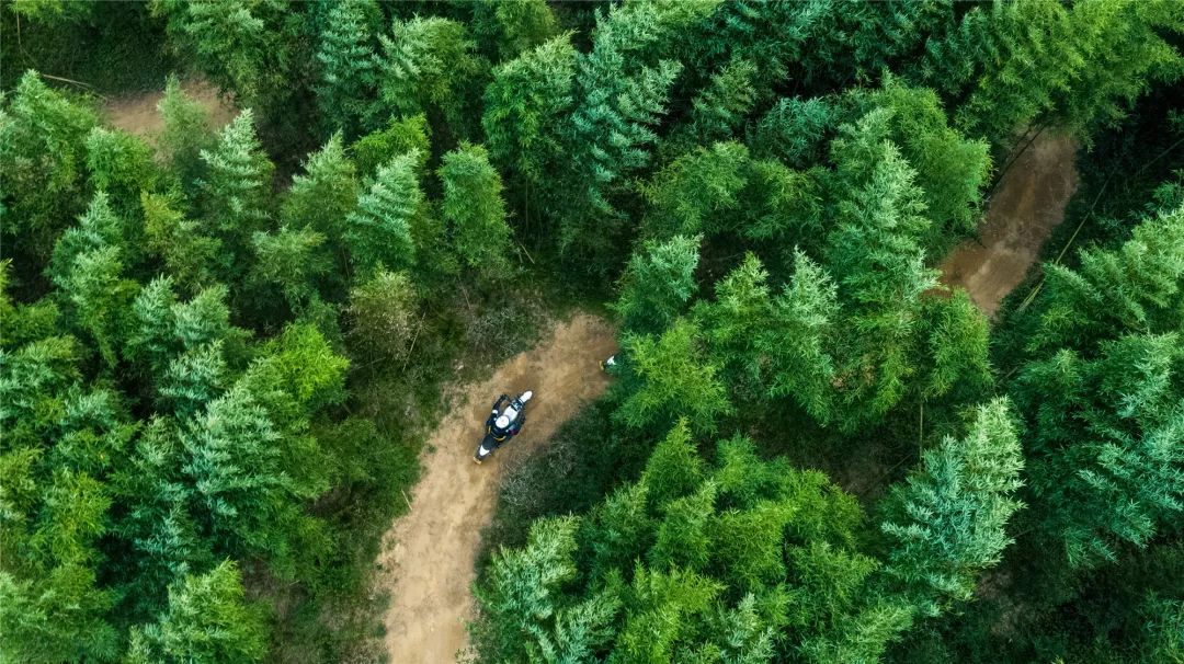 杜卡迪好么,杜卡迪硬玩