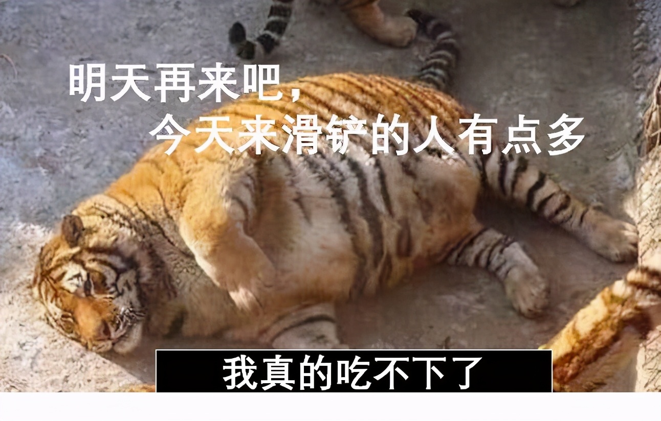 青蛙蜈蚣蛇三种动物哪个厉害,为什么蜘蛛比螃蟹可怕