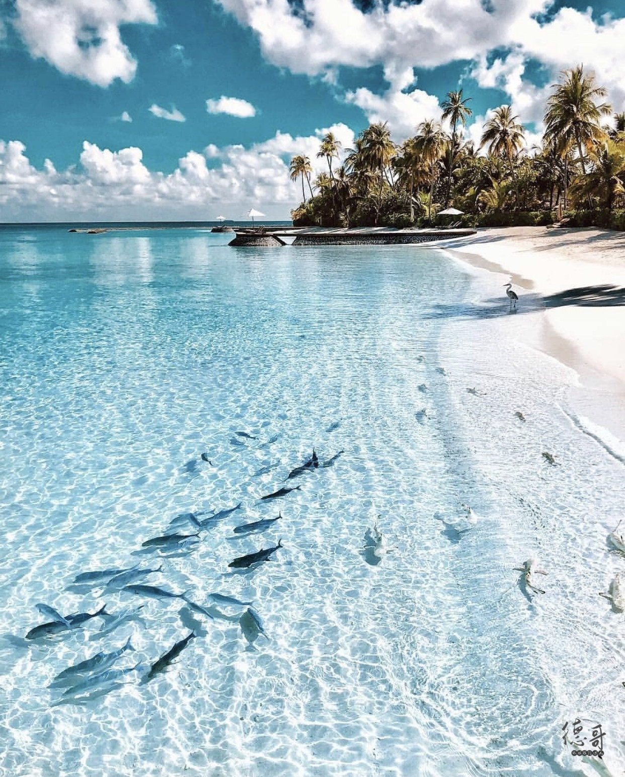 马尔代夫拖尾沙滩推荐,马尔代夫哪些岛带拖尾沙滩