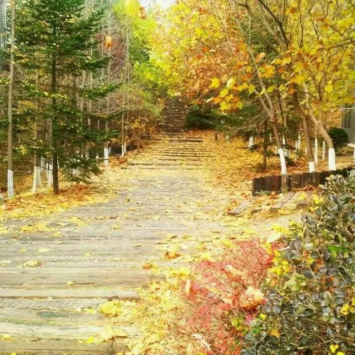 辽宁大连民办大学,大连辽宁二本大学