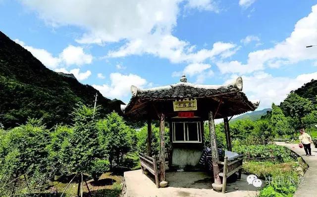 永嘉古村古镇,永嘉县哪些古村落