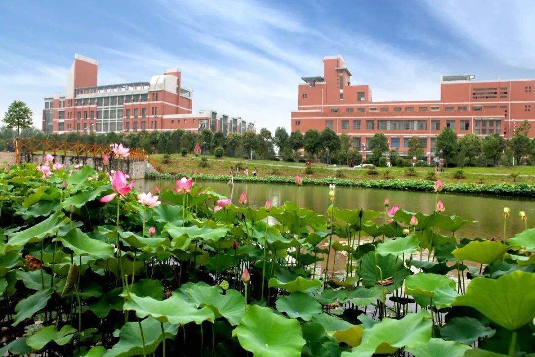 河南理工大学110周年直播,河南大学110周年生日快乐