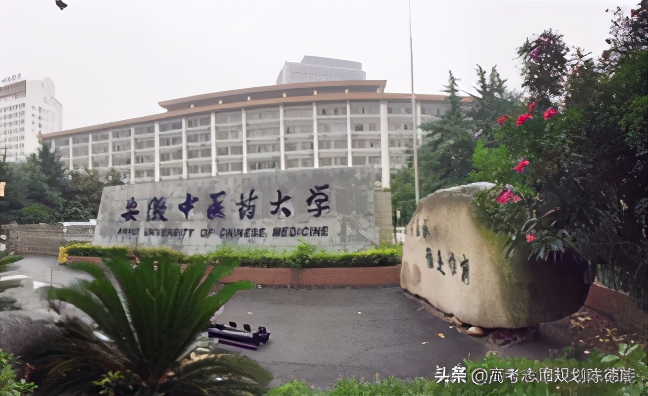 南方医科大学中医学科评估,中医学科排行榜前十名