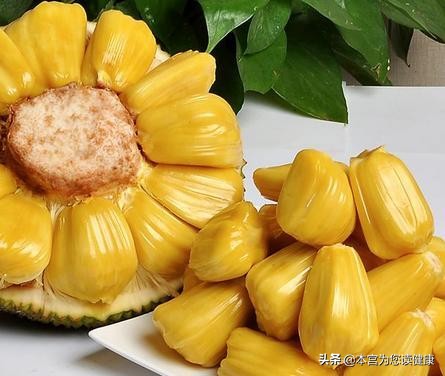 超级巨无霸菠萝蜜,菠萝蜜是巨无霸吗