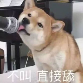 哪些不看歌词听起就很奇葩的歌,那些很奇葩的歌