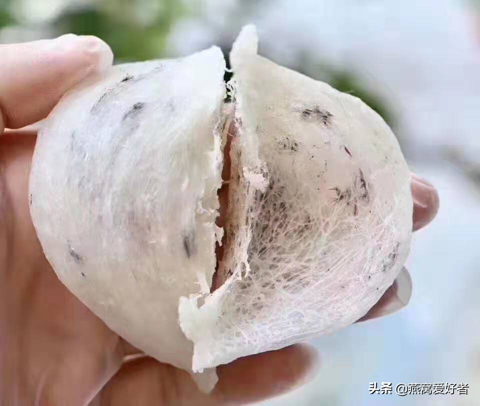 孕期燕窝最常见误区中招,燕窝怎么选小心掉进以下误区