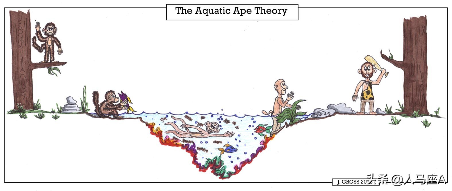 洛神水赋惊艳国外,洛神水赋获得成功的原因