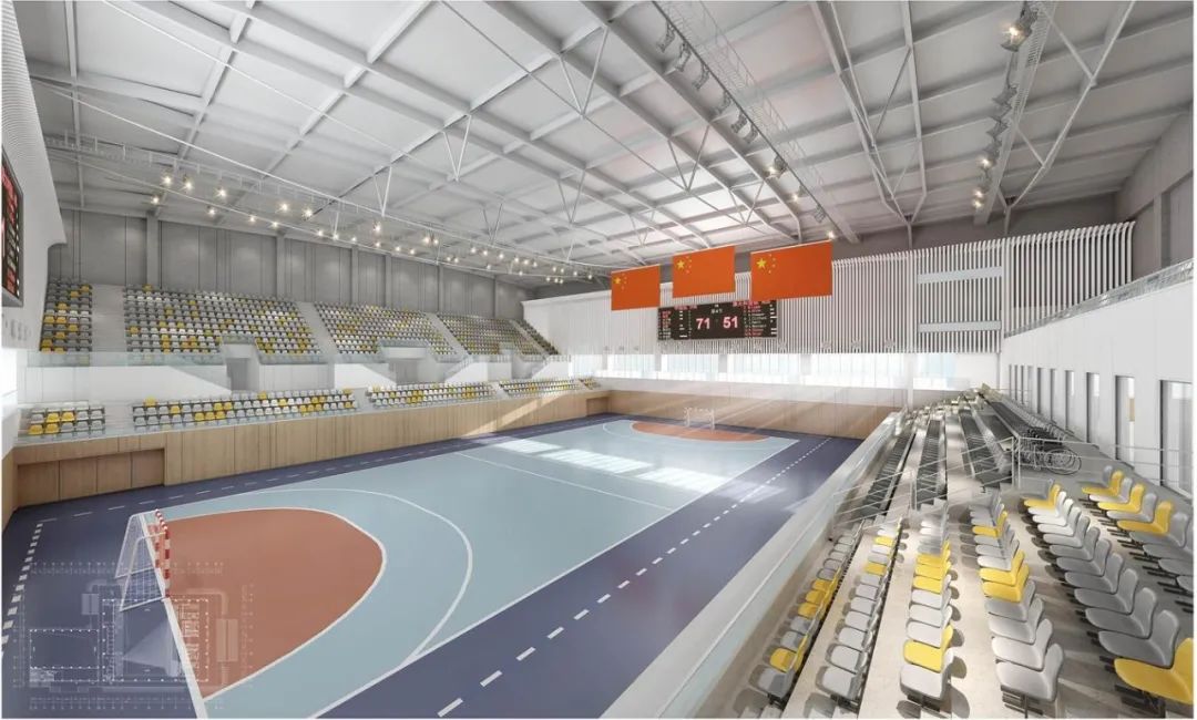 1所高校3个项目，厉害了，亚运“大户”浙师大