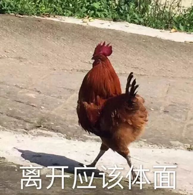 优衣库购物必买的男士,优衣库有哪些值得买的男款